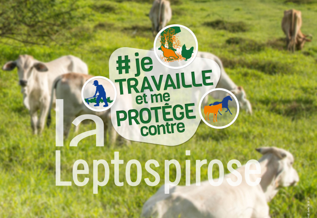 LEPTO AGRICULTEUR