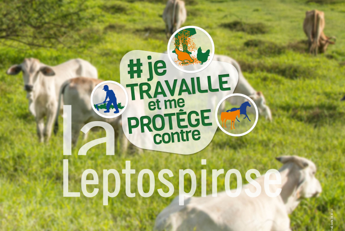 LEPTO AGRICULTEUR