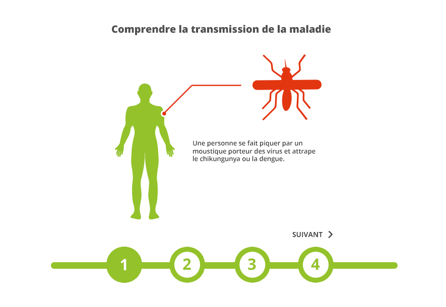 Opération anti-moustique à Villeurbanne après la découverte d'un cas de  Dengue