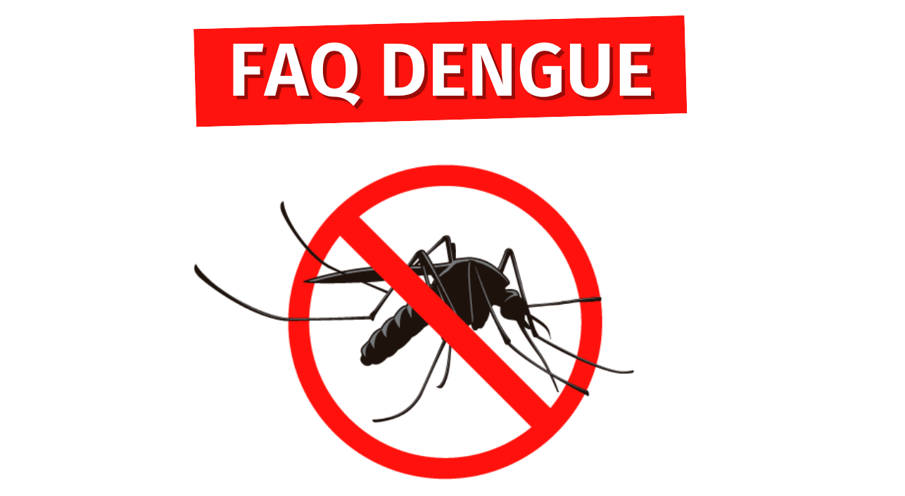 Foire aux questions (FAQ) sur la Dengue | Agence régionale de ...